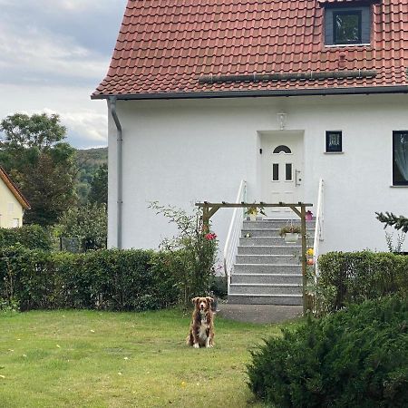 Ferienhaus Am Muehlgraben Thale Kültér fotó