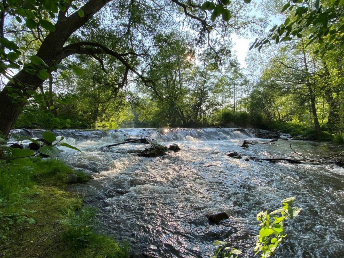 Ferienhaus Am Muehlgraben Thale Kültér fotó
