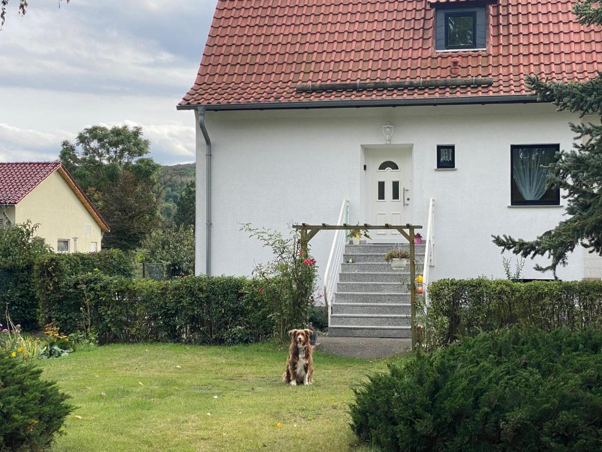 Ferienhaus Am Muehlgraben Thale Kültér fotó