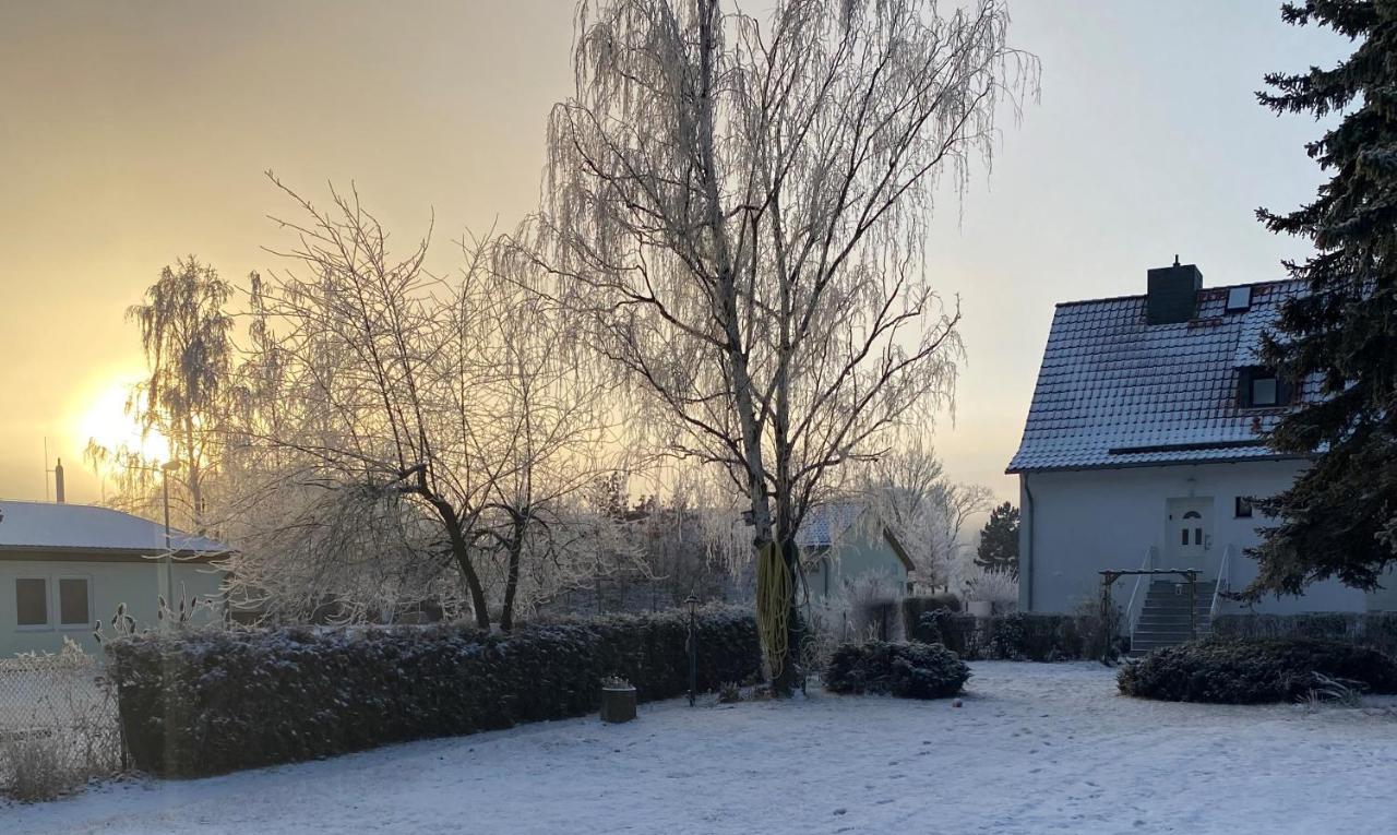Ferienhaus Am Muehlgraben Thale Kültér fotó