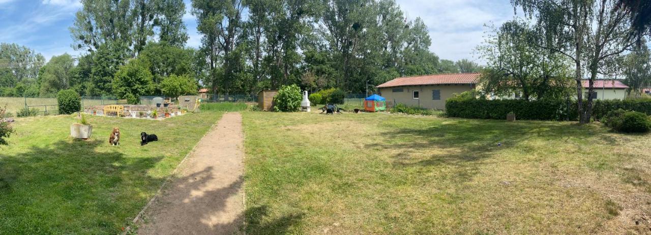 Ferienhaus Am Muehlgraben Thale Kültér fotó