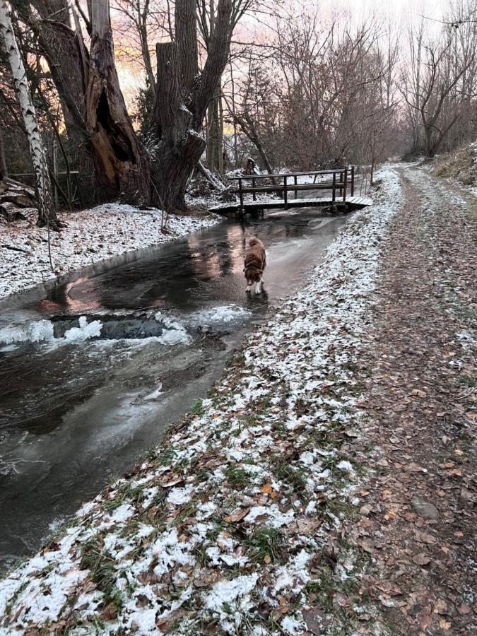 Ferienhaus Am Muehlgraben Thale Kültér fotó